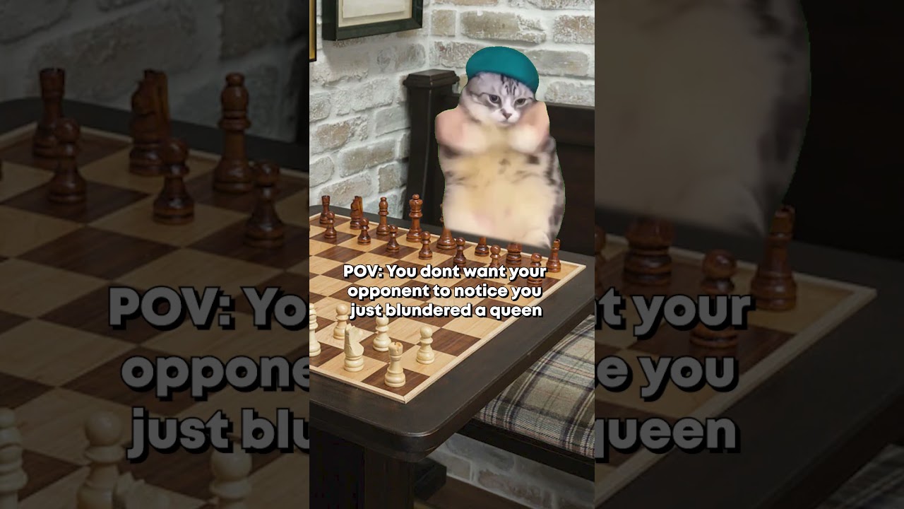 pov: you just blundered against GothamChess