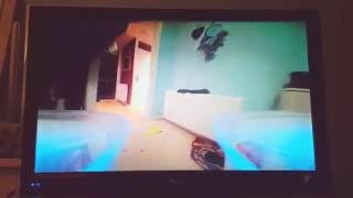 Tiny whoop vs the kittens!
