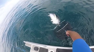 Nomad Design Gypsy Jig - Bluefin Tuna