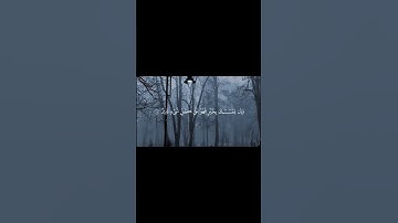 سعود الشريم – سورة الأنعام 17-18 | #سعود_الشريم #سورة_الأنعام #تلاوة_خاشعة #تلاوة_مؤثرة #قرآن_كريم