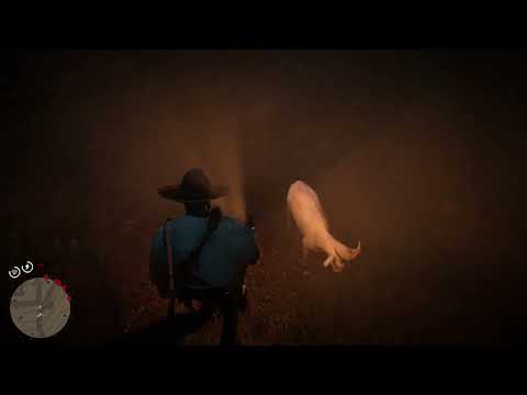 Red Dead Redemption 2 exploring butcher creek - YouTube