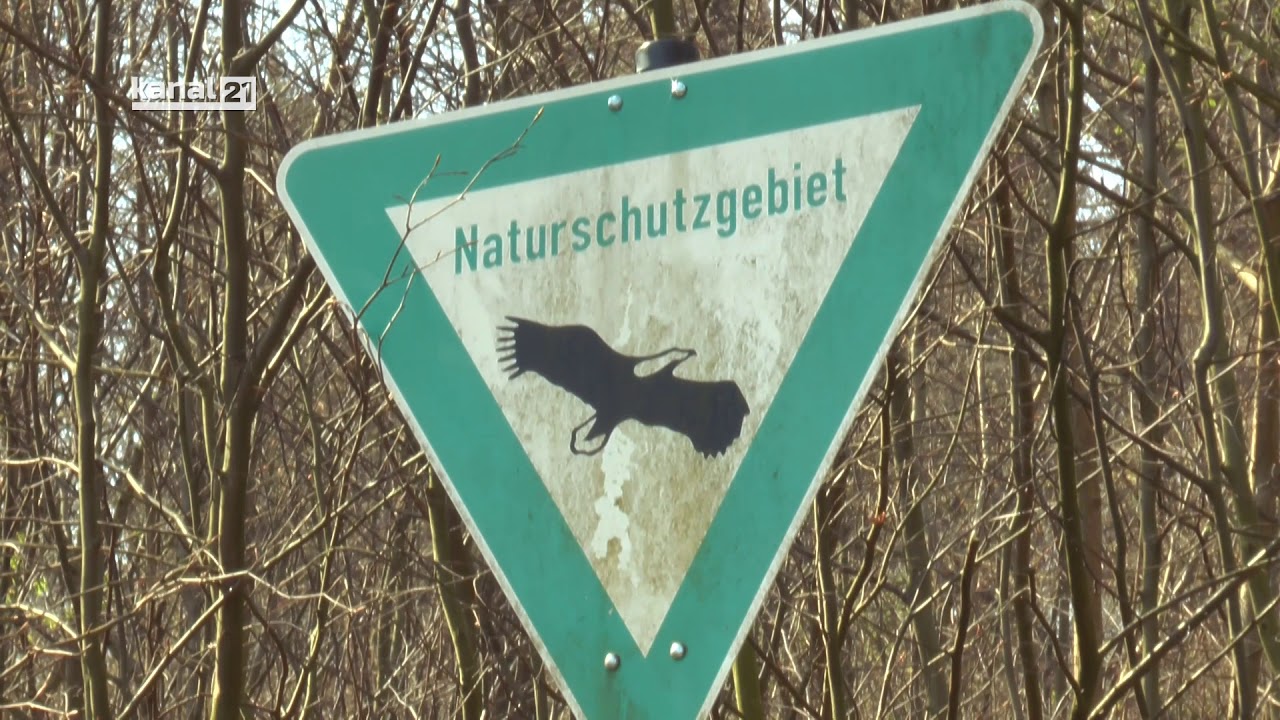 Naturschutzgebiet Düffel