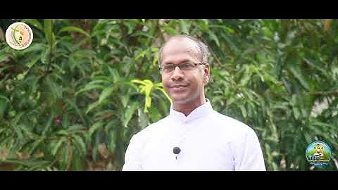 Sunday Catechism | Standard 12 | Chapter 8 | Part 2 | Fr Jiji Vadakkel, Thovarayar