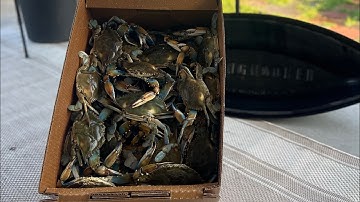 How to Boil Blue Crabs | New Orleans Seafood Boil | Sausage, Poratoes, Onions, & Garlic | Lets Go!