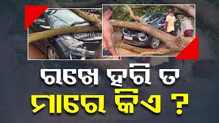 Passengers narrowly escape danger as an uprooted tree falls on a car in Barang