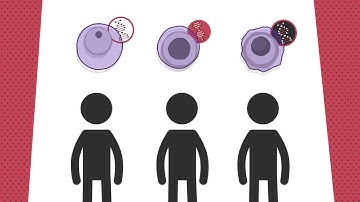 Acute myeloid leukemia: Genetic subtypes