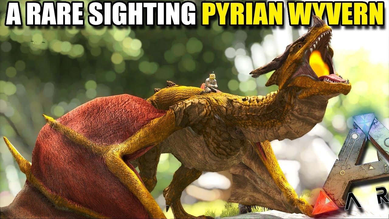 A RARE SIGHTING PYRIAN WYVERN | MYTHICAL BEASTS | ARK SURVIVAL EVOLVED ...