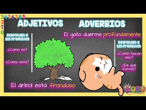 ADJETIVOS Y ADVERBIOS