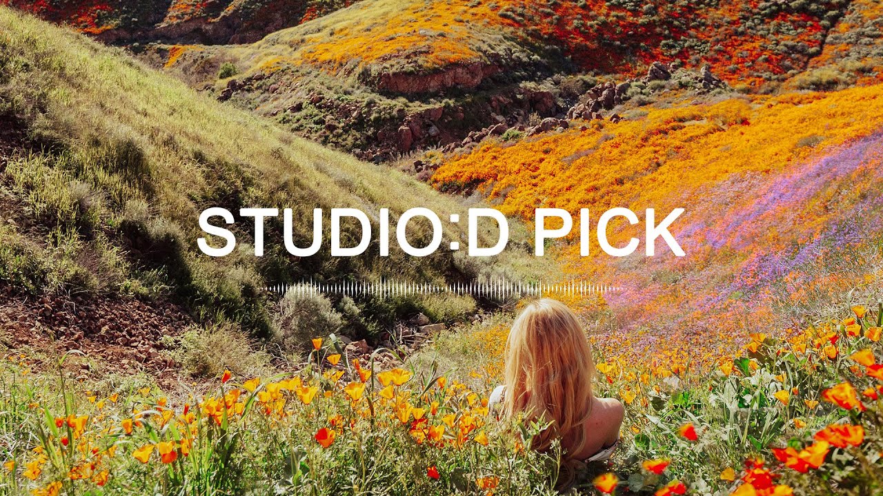 [스디 Pick!] 봄 내음 물씬 나는 라이브 모음집🌸🎧 ｜스튜디오:D PLAYLIST🎵