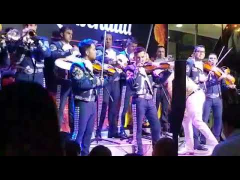 Mariachi Evolucion de Bogota 