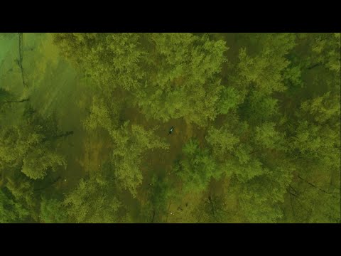 Ek Tarfa Smit Sonrisa Official Music Video 