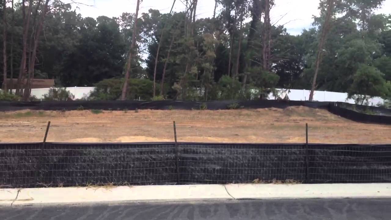 Evergreen commons II YouTube