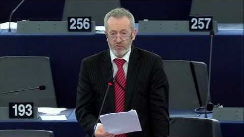 Building a European Data Economy - Plenary, January 2017