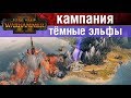 Кампания за Темных Эльфов Total War WARHAMMER 2 (на русском)