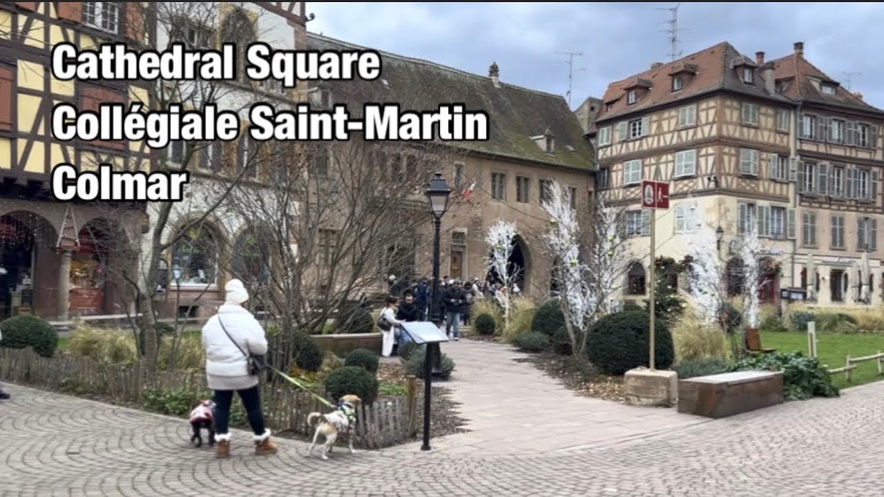 Cathedral Square Collégiale Saint-Martin Colmar