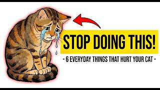 6 Common Things You Do That Your Cat Secretly HATES (Number 4 is Deadly!