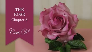 The Rose #5 | Petals 5-16