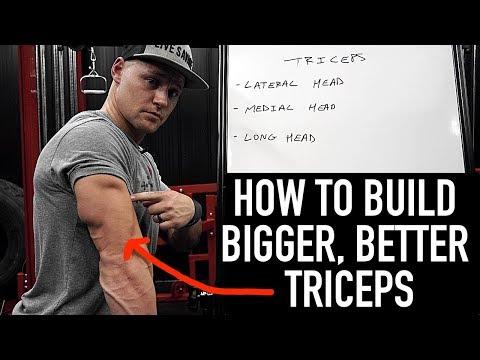 How To Build Bigger, Better Triceps!