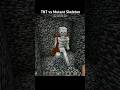 Minecraft : TNT vs Mutant Skeleton #minecraft #shorts