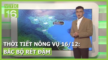 Thời tiết nông vụ 16/12: Bắc Bộ rét đậm rét hại | VTC16