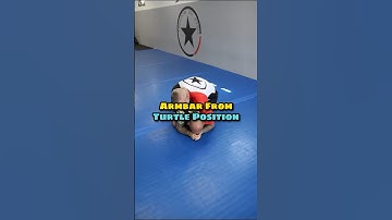 Armbar from turtle