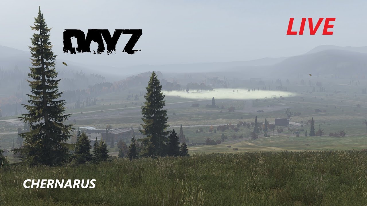 🔴LIVE | DAYZ | CHERNARUS | LOSING KITS | 24006 - YouTube