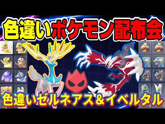 ポケモン　韓国版　海外版　配布　未受け取り　色違い　イベルタル　ゼルネアス ポケモンZA】色違いゼルネアス＆イベルタル配布！！色違いオヤブン