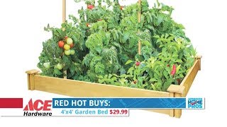 Get Started With Gardening