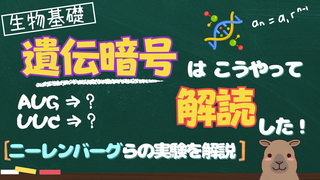 【生物基礎】遺伝子発現の解明！遺伝暗号を解読した「ニーレンバーグらの実験」を解説！