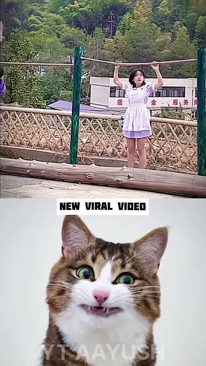 Download lagu bro the maid is too strong haha😂#cat #funny #explore #memes #bombastic #viral #shorts #7ad
