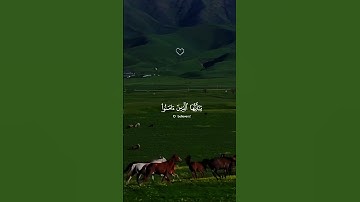 اللهم صل وسلم على نبينا محمد #قران_كريم #تلاوة_خاشعة