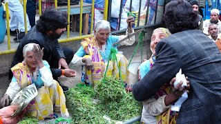 इस उम्र में एक बुजुर्ग मां की हिम्मत और हौसले को देखकर आप भी दंग रह जाएंगे।Heart touching video 🥹