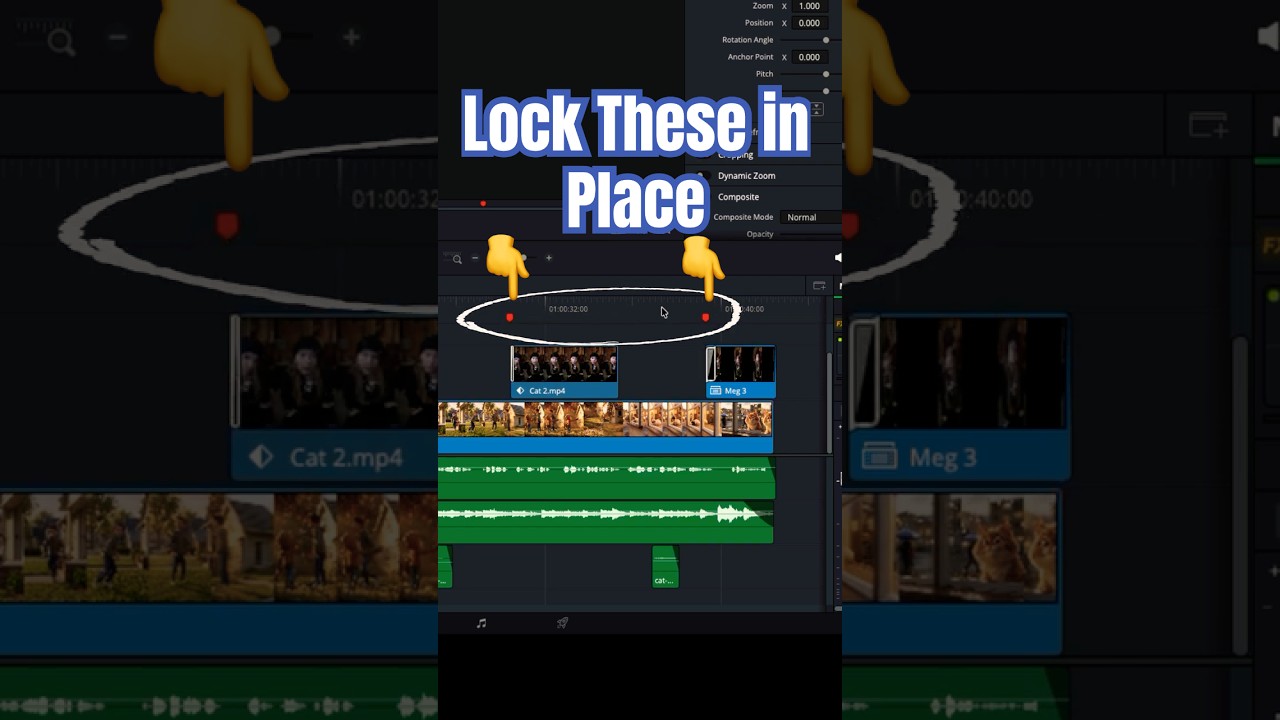 Lock & Unlock Timeline Marker Positions - DaVinci Resolve