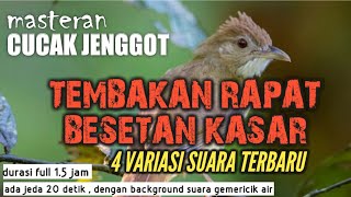 MASTERAN CUCAK JENGGOT | 1.5 JAM NONSTOP | 4 VARIASI SUARA | COCOK BUAT MURAI BATU , KACER , IJO DLL