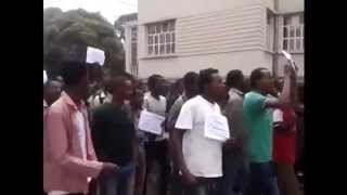 Master Plan Is Master Killer-Oromo Students of Addis Ababa University