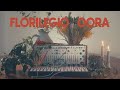 Florilegio  oora  live performance with buchla easel and meris effects 