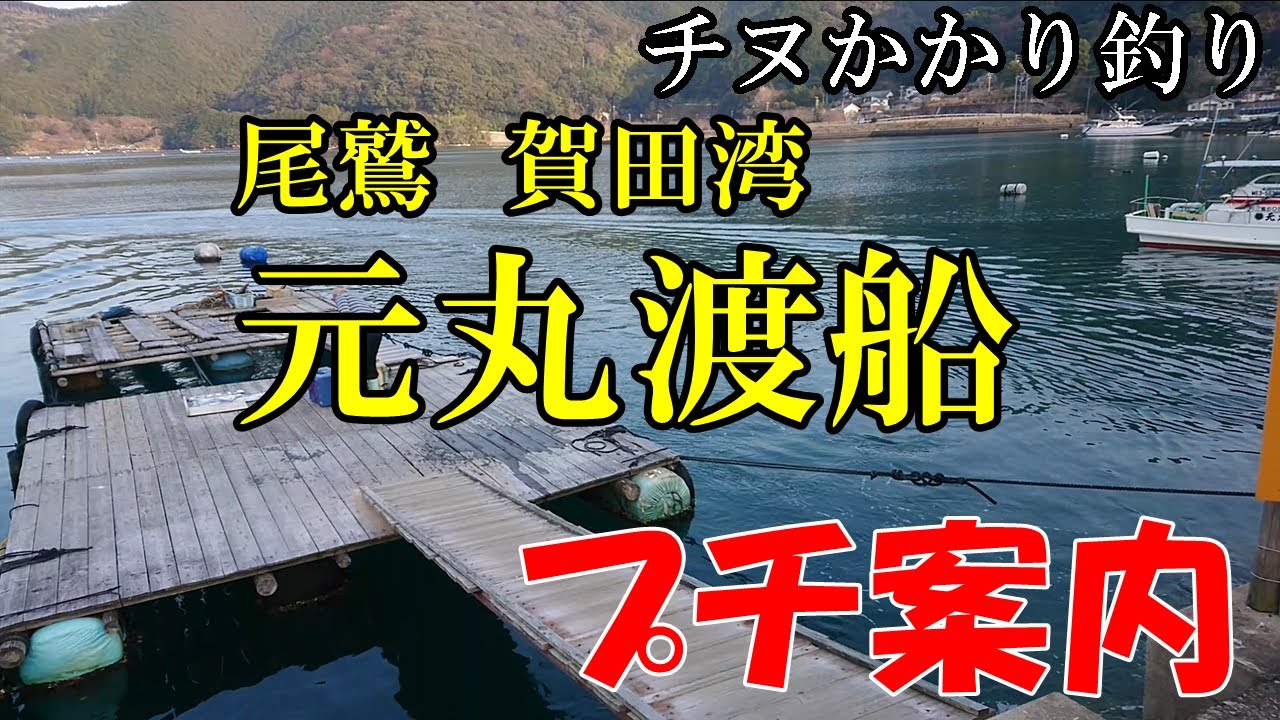 元丸渡船プチ案内 尾鷲 賀田湾 かかり釣り 筏釣り カセ チヌ 黒鯛 釣り動画