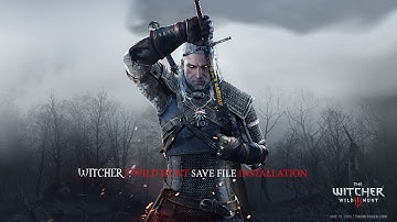 How to install savefiles for Witcher 3 (1.07)