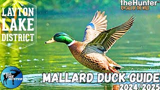 Celebrity Layton Lakes Mallard Duck Guide, Zone Locations, best Guns + More | TheHunter Call Of The Wild 24/25 Net Worth
