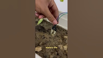 Smart Plant Watering System | DIY IoT Project #viral #shortsvideo #shorts #reels #iot #feedshorts