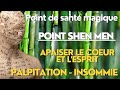 Les points magiques de sant 7c shen men  apaiser le cur et lesprit  insomnie palpitations 