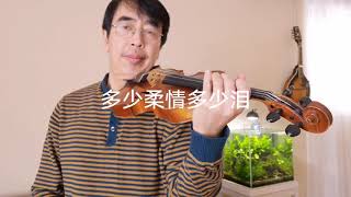 多少柔情多少泪，Summer kisses, Winter tears  violin solo