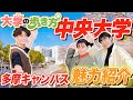 大学の歩き方 中央大学-多摩キャンパス編-ただの大学紹介とは一味違う！中央の魅力満載