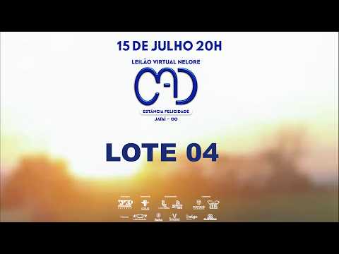 LOTE 04