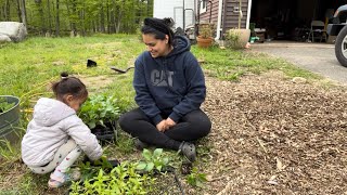 Planting The Flower Patch | Day 2