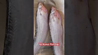 #fish #Youtube #fishaholic #fishmaw #cutefishos #lifeisbutadream #viral #BREAKING