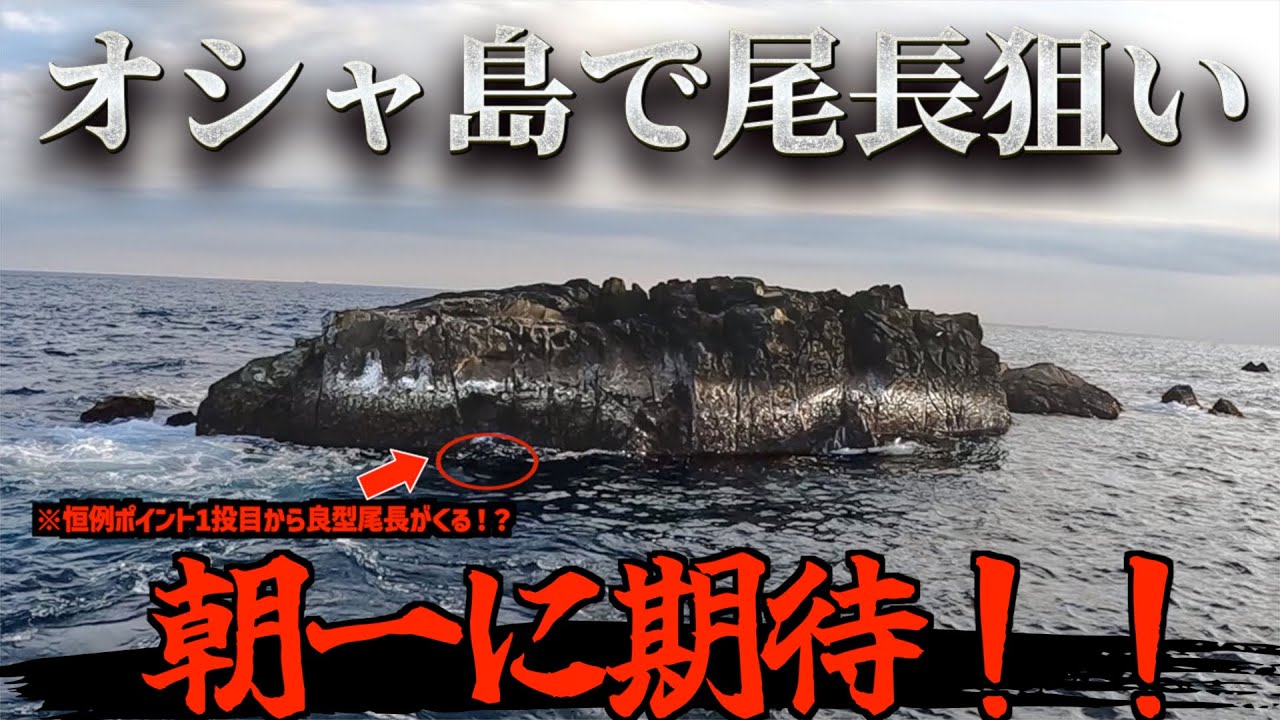 【和歌山県・磯釣り】那智勝浦町・太師丸渡船!!名礁・オシャでの尾長グレ狙い