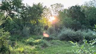 saturday nj sunrise - behind scenes 