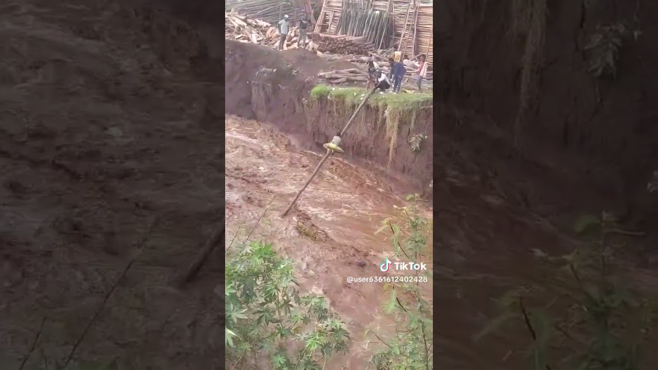 Dangerous situation: people use tree trunks to cross the river