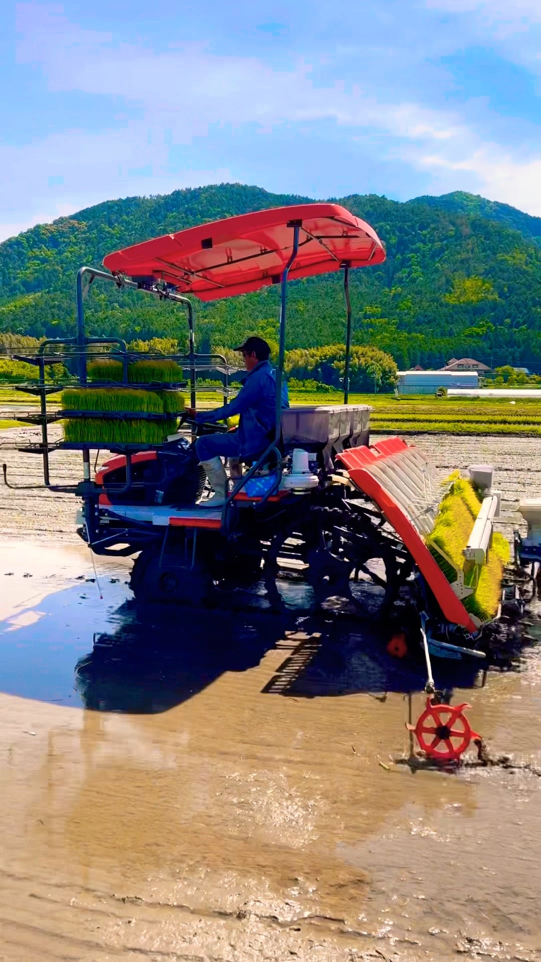 Kubota NW8S GS 田植機 田植え作業 - YouTube